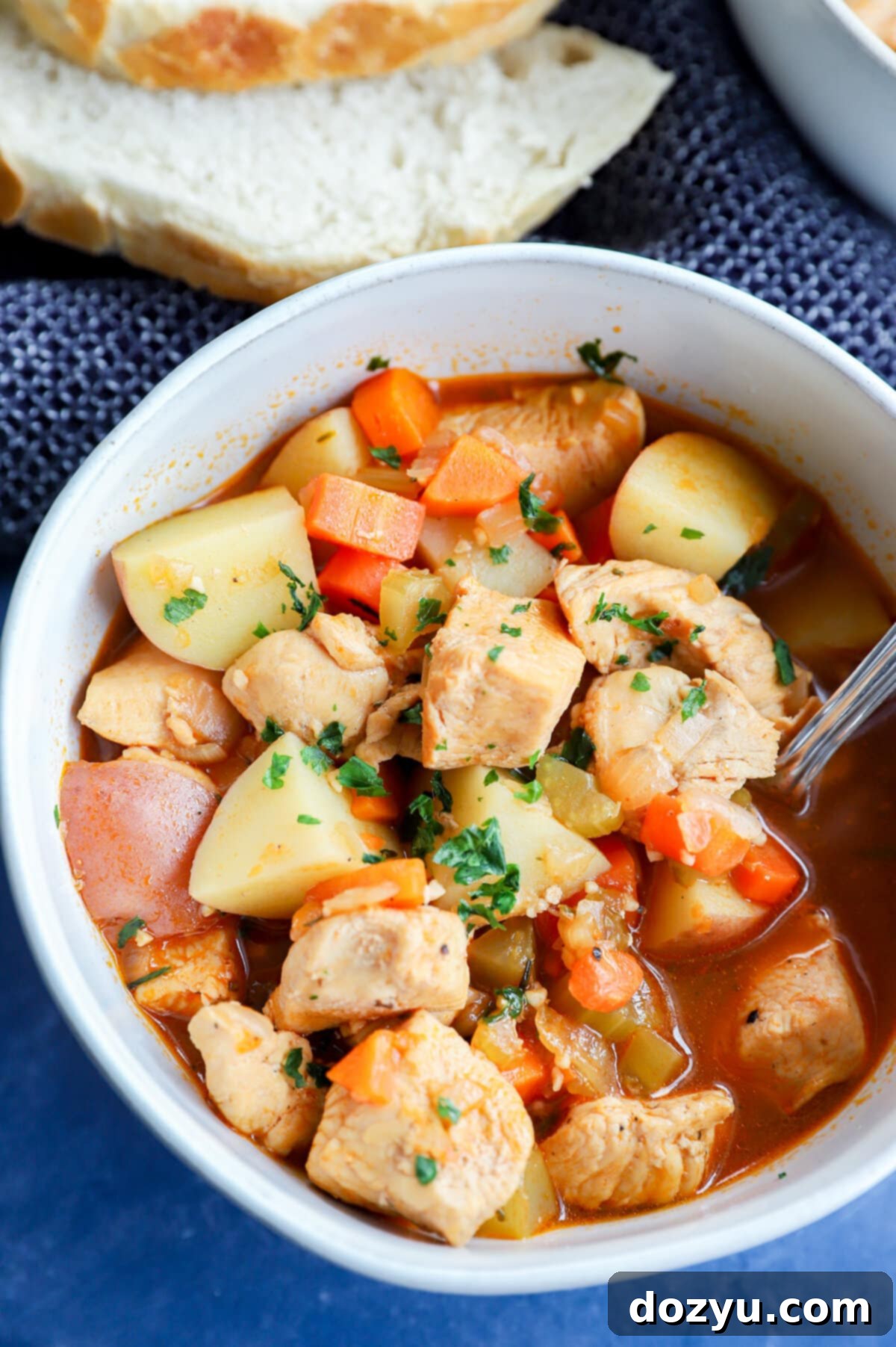 Cozy Instant Pot Chicken Stew 9 image of winter hearty stew with seasonal vegetables