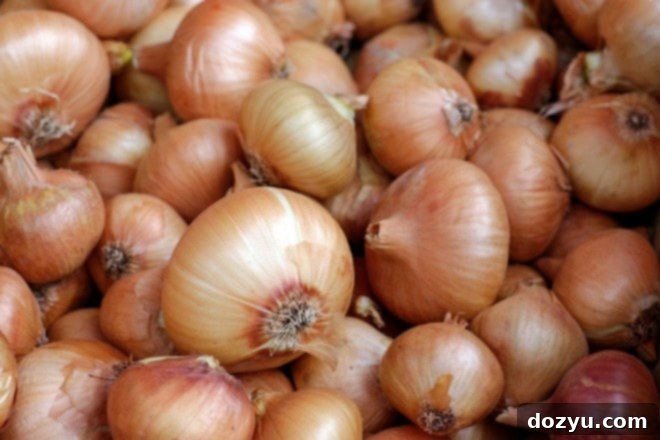 Effortless Mirepoix 5 onions in a pile
