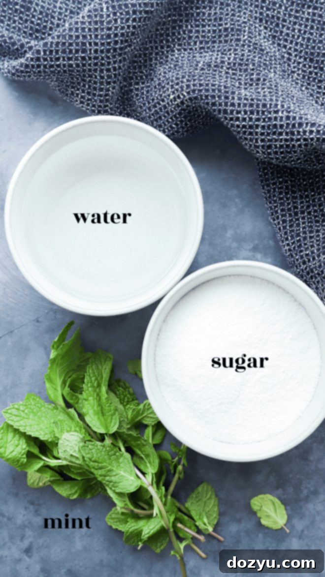 Fresh Mint Simple Syrup 4 Ingredients for mint simple syrup
