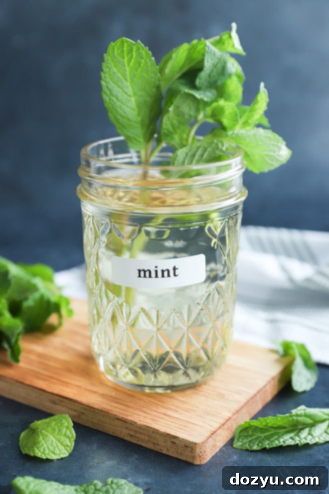 Fresh Mint Simple Syrup 6 mint simple syrup in a mason jar with fresh mint leaves and sprigs