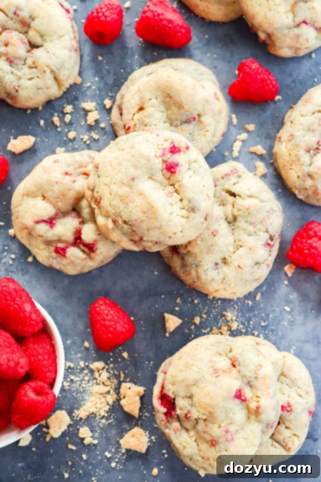 Raspberry Cheesecake Cookie Fusion 4 img 54183 3