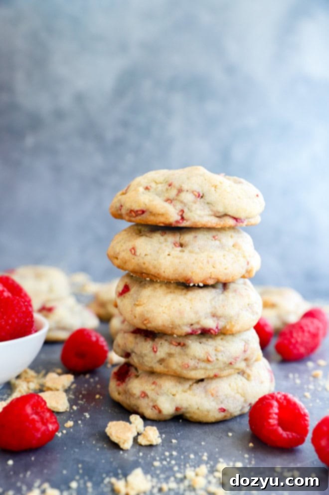 Raspberry Cheesecake Cookie Fusion 8 pile of raspberry cheesecake cookies with fresh raspberries