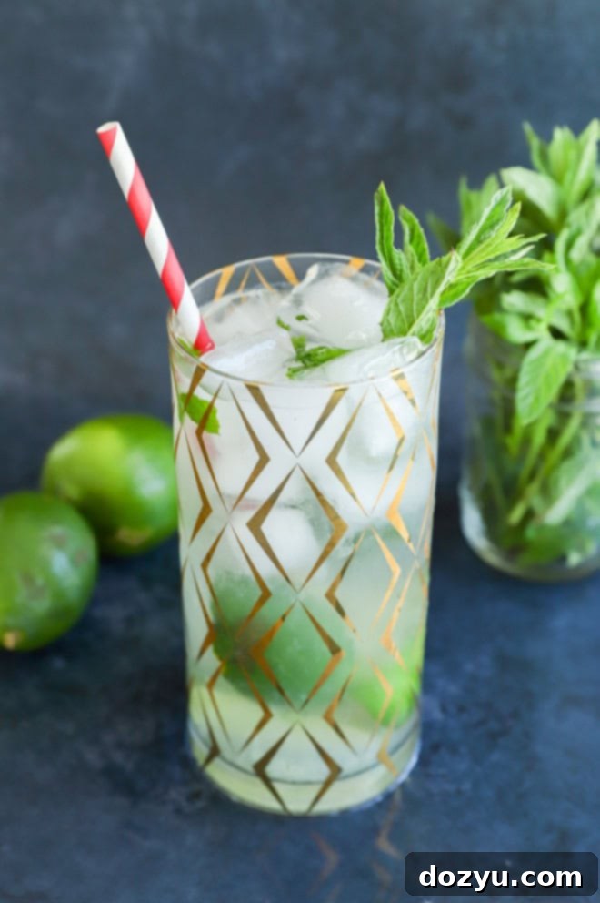 Quintessential Bacardi Mojito 7 Classic cuban rum cocktail in a highball glass