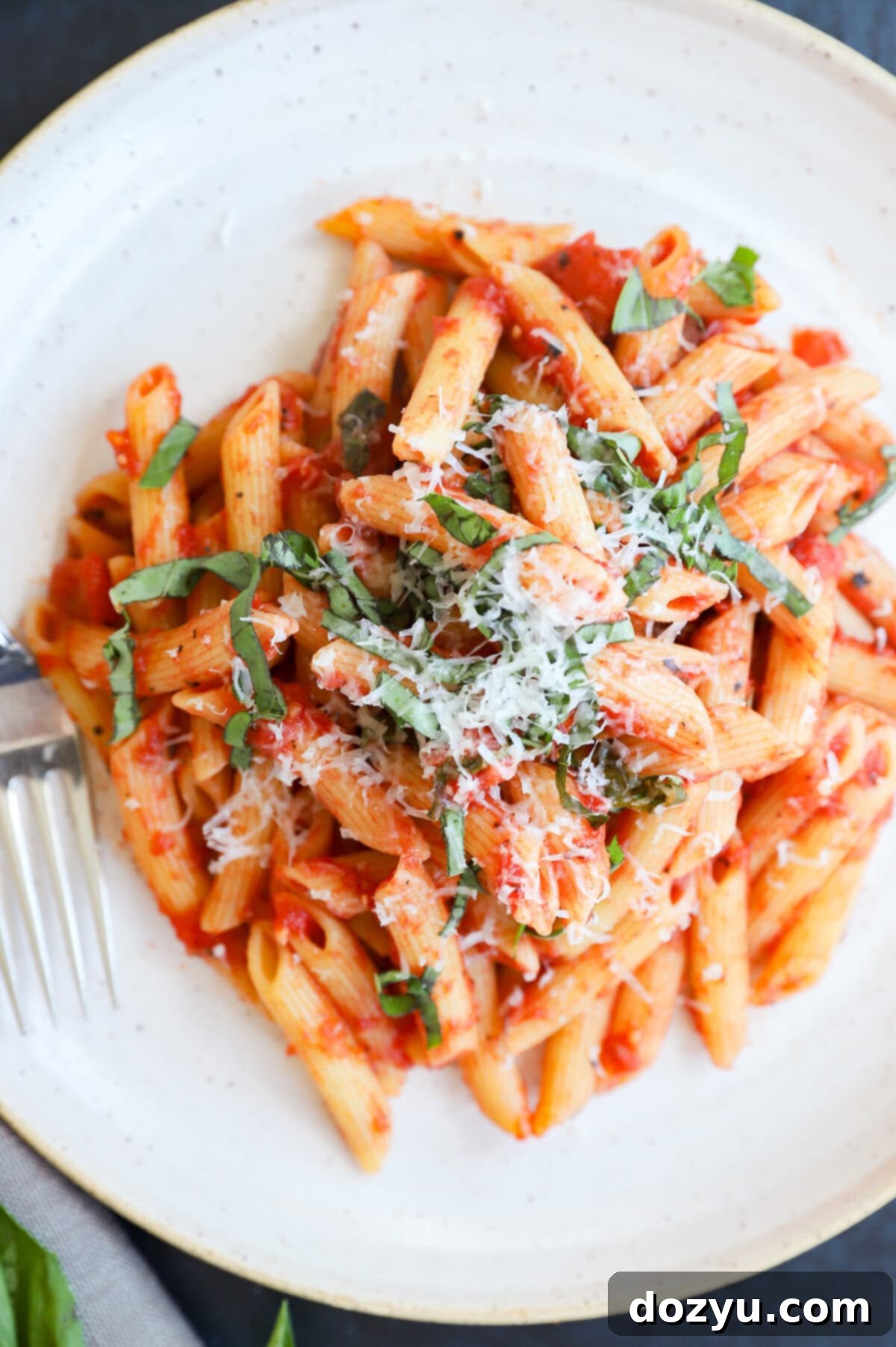 Penne with Tomato Sauce 10 Tomato pasta on plate with fork