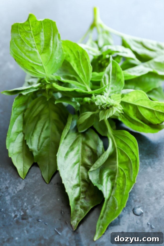 Gin Basil Smash 3 Close-up of vibrant fresh basil leaves, an essential ingredient for a Gin Basil Smash cocktail.