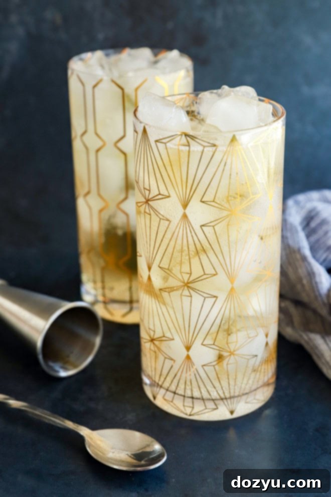 Japan's Signature Highball 2 glasses of Japanese highball cocktail with cocktail spoon and jigger