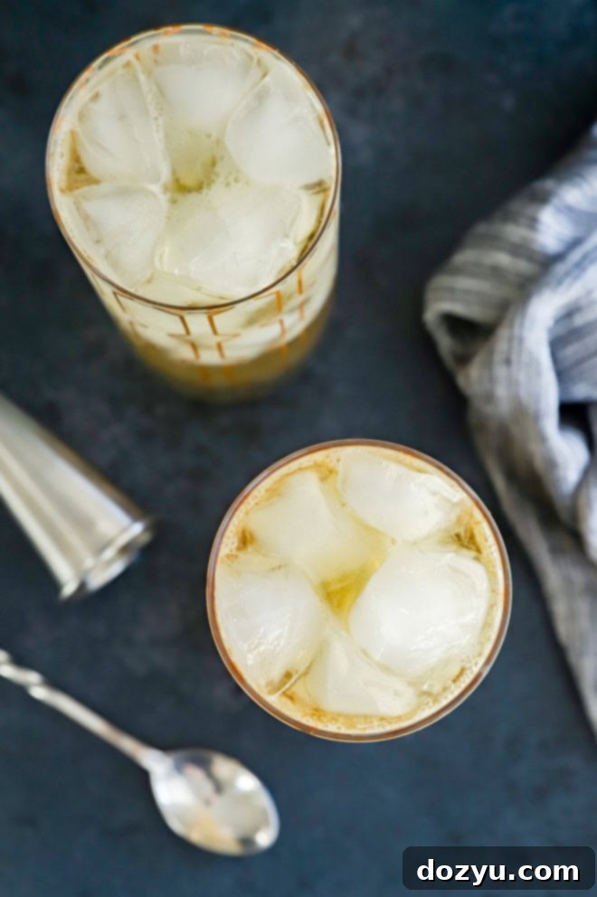 Japan's Signature Highball 3 Overhead view of whisky cocktails with bubbly soda water