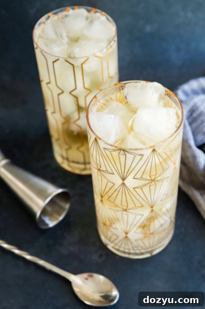 Japan's Signature Highball 7 Cocktails in glasses with ice and whisky with spoon and jigger
