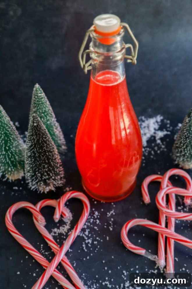 Handcrafted Peppermint Vodka 5 jar homemade gift with candy cane liquor and candy canes