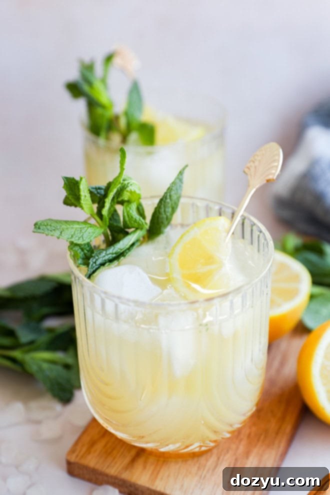 Refreshing Bourbon Smash 5 cocktail glasses with whiskey lemon and mint cocktail