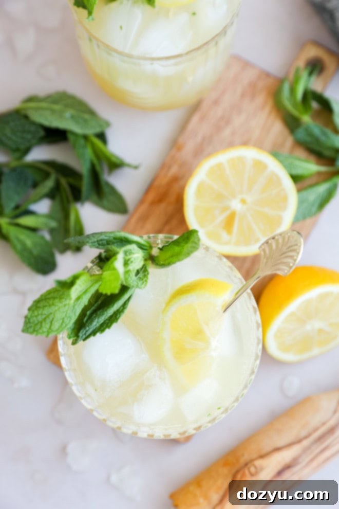 Refreshing Bourbon Smash 7 cocktail glasses with mint and lemon with muddler and cutting board
