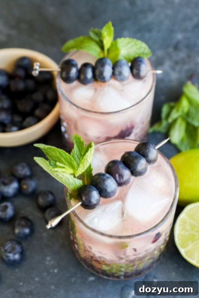 Blueberry Mojito Magic 2 Glasses of refreshing Blueberry Mojito garnished with fresh mint sprigs and blueberries, ready to be enjoyed.