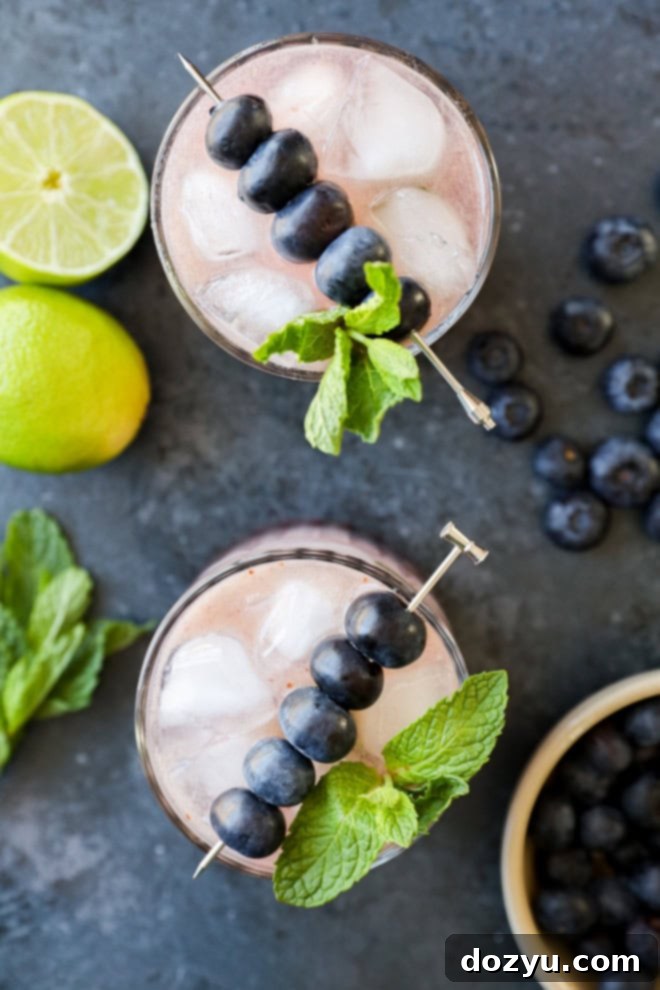 Blueberry Mojito Magic 5 Two beautifully crafted Blueberry Mojitos garnished with fresh mint, lime slices, and whole blueberries, set against a summer backdrop.
