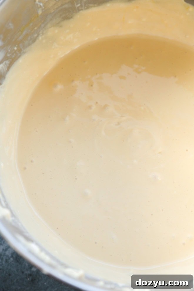 Decadent Baileys Cheesecake 6 The smooth and creamy Baileys cheesecake filling, perfectly mixed, resting in the bowl of a stand mixer, ready to be poured into the crust.