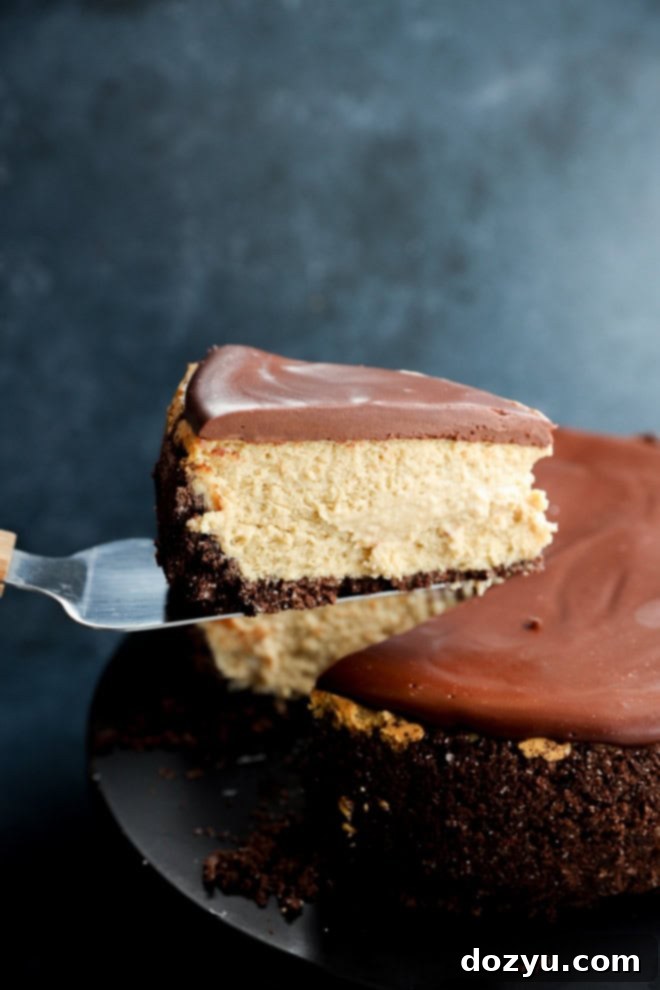 Decadent Baileys Cheesecake 10 A cake slicer lifting a perfect, individual slice of Baileys cheesecake, showcasing its layers of crust, creamy filling, and chocolate ganache.