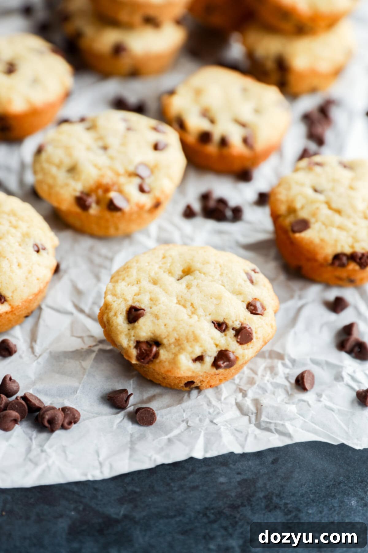 Irresistible Mini Chocolate Chip Bites 12 easy breakfast baked on parchment paper with chips