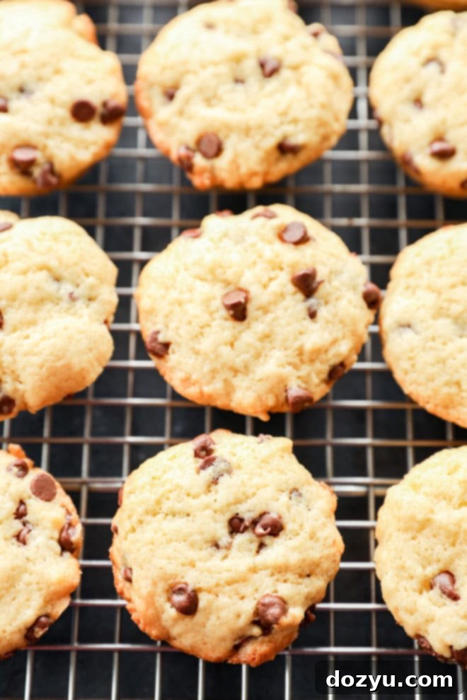 Irresistible Mini Chocolate Chip Bites 9 baked goodies for breakfast cooling on a wire rack