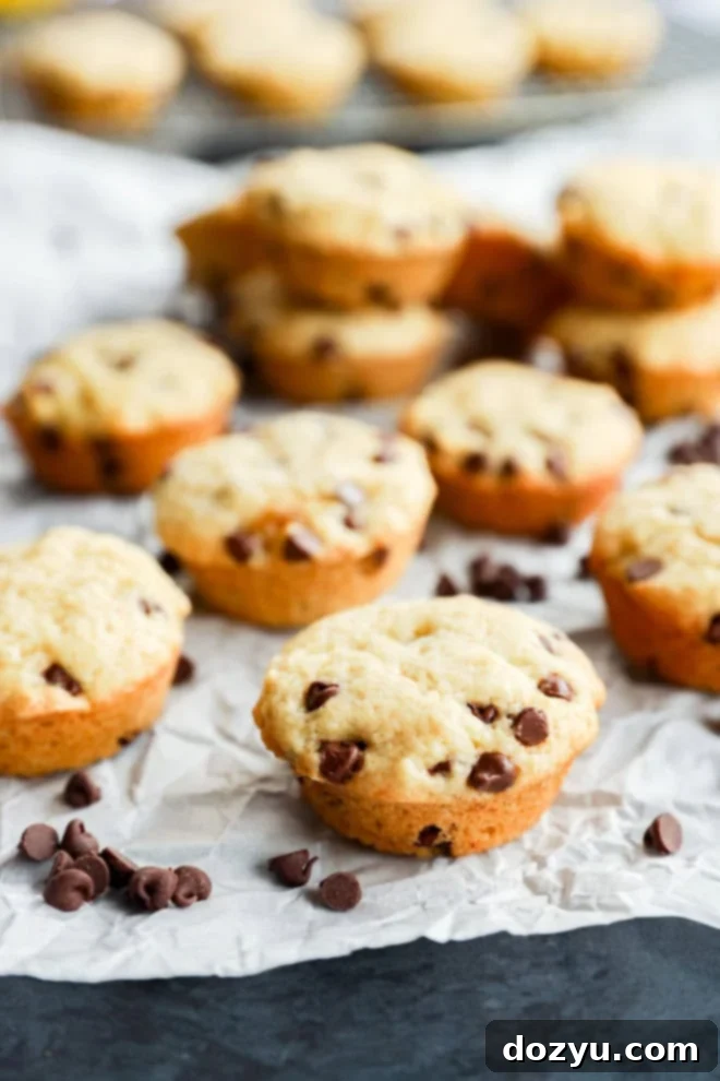 Irresistible Mini Chocolate Chip Bites 10 mini chocolate chip muffins on parchment paper with lots of mini chocolate chips