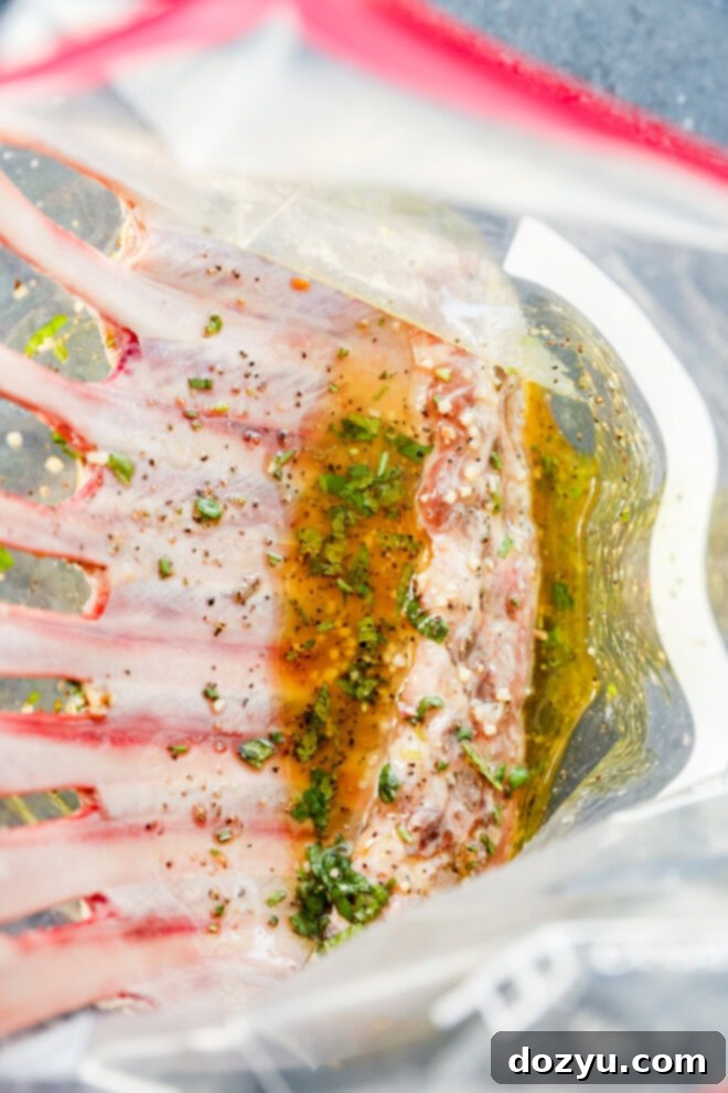 Succulent Lamb Marinade 2 Meat in a bag with herbs and oil, ready to marinate for a juicy finish
