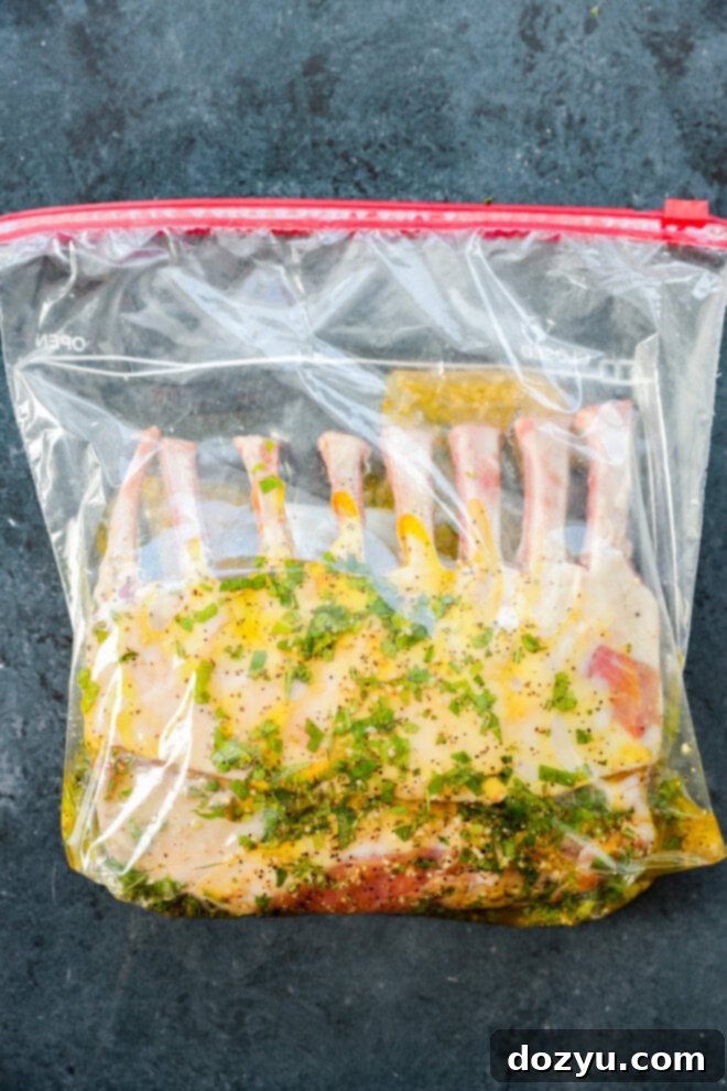 Succulent Lamb Marinade 5 Lamb marinating in a sealed bag, chilling in the refrigerator