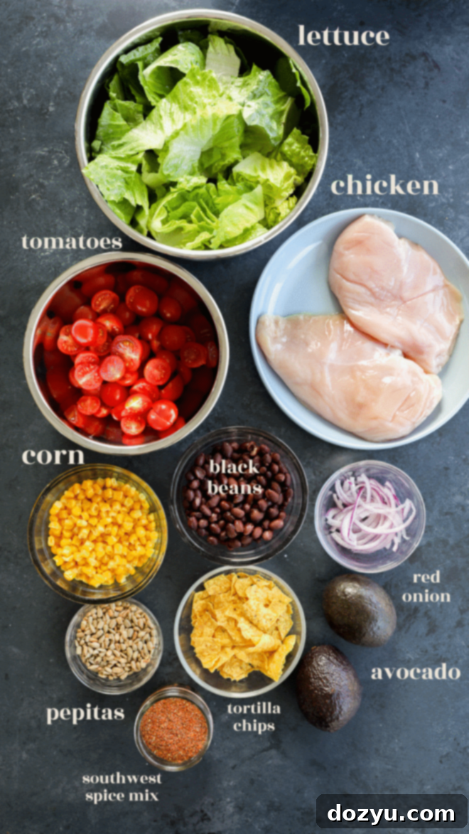 Fiesta Chicken Salad 3 southwest chicken salad ingredients in bowls with text labels