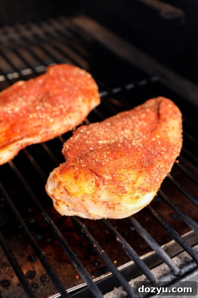 Fiesta Chicken Salad 4 grilling chicken rubbed with spicy smoky seasoning