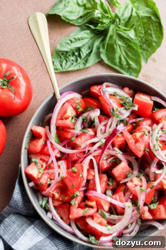 Zesty Tomato Onion Salad 6 Summer side dish with fresh vegetables and basil