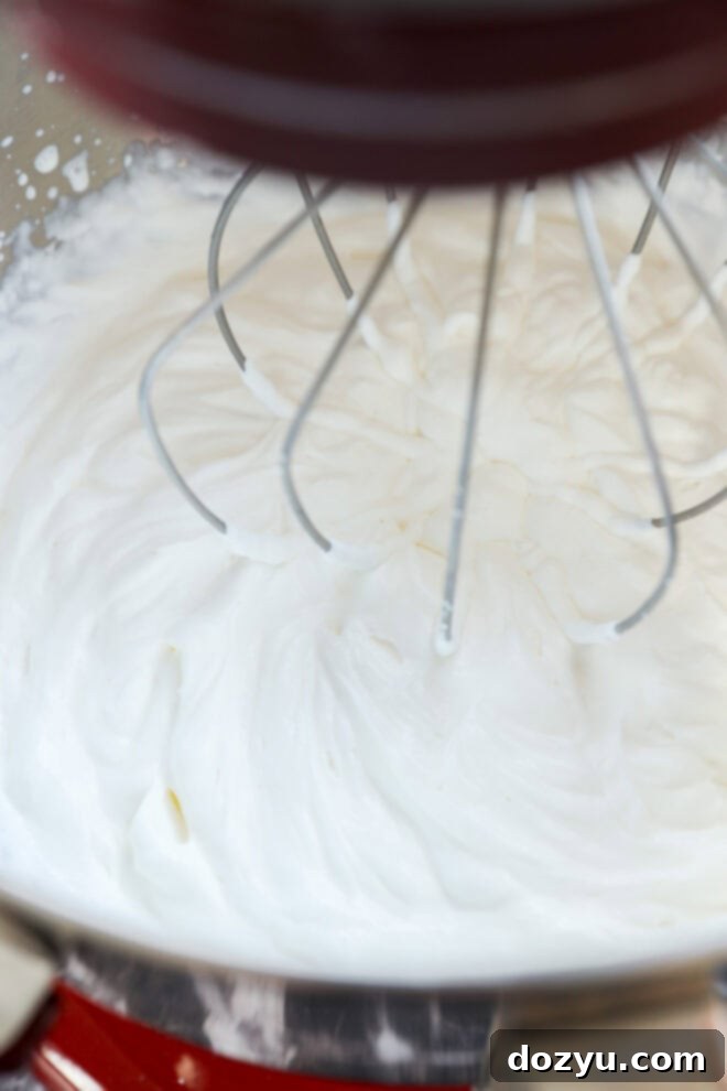 Ultimate Oreo Swirl Ice Cream 4 whipped cream in a stand mixer with whisk attachment