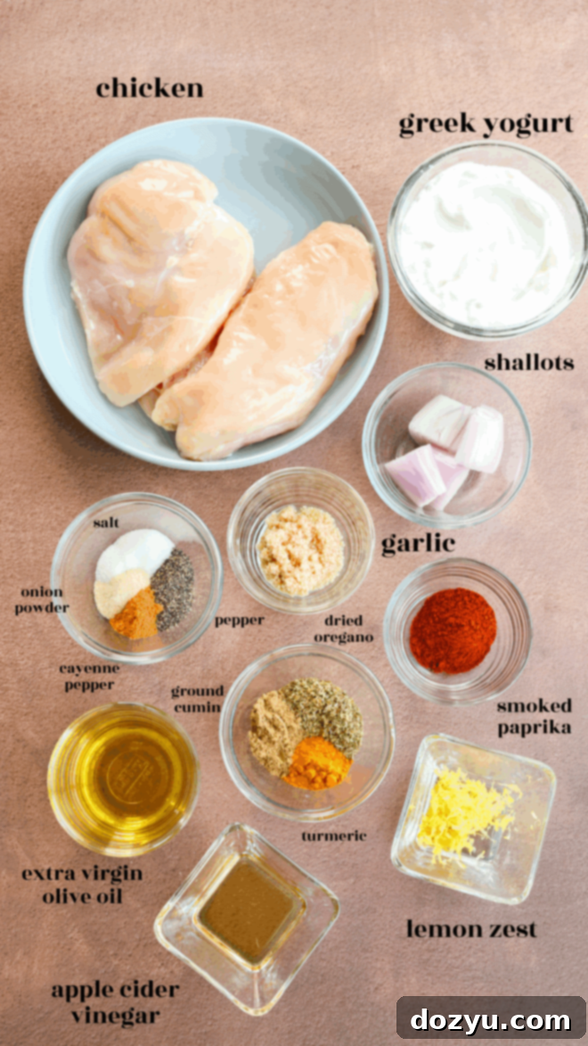 Perfect Greek Yogurt Chicken Marinade 3 A vibrant flat lay of Greek yogurt chicken marinade ingredients in individual bowls, clearly labeled, showcasing whole milk Greek yogurt, fresh lemon zest, apple cider vinegar, olive oil, minced garlic, chopped shallot, and an array of colorful spices including paprika, cumin, oregano, turmeric, salt, pepper, onion powder, and cayenne pepper.