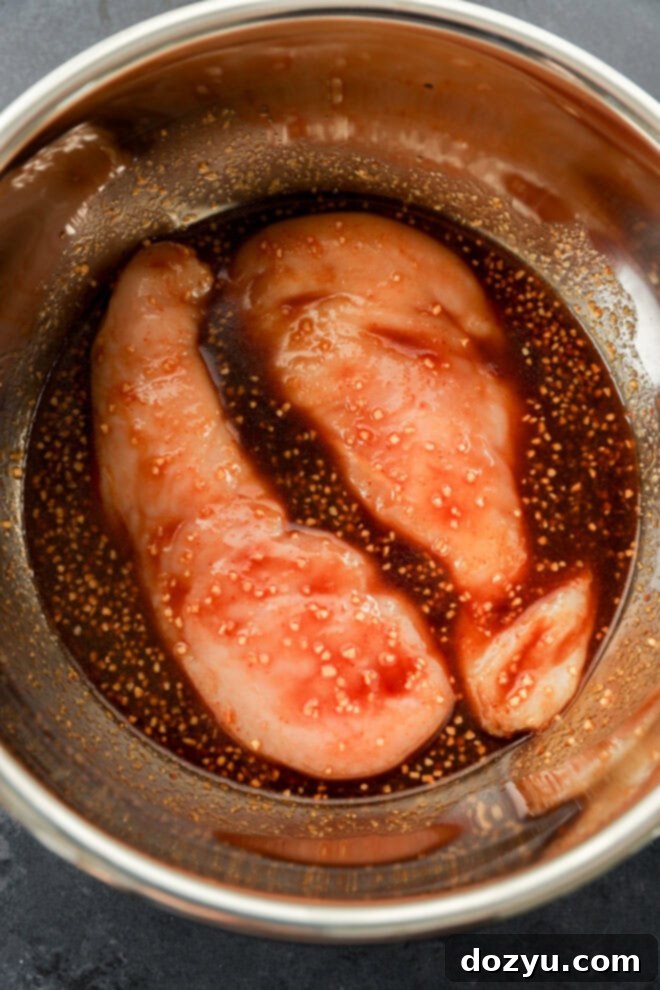 Savory Asian Chicken Marinade 5 Two raw chicken breasts marinate in a stainless steel bowl with a dark Asian Chicken Marinade packed with aromatic spices.