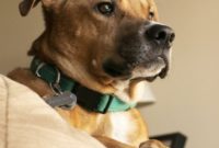 A Fond Farewell to Kya