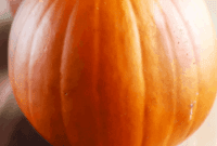 11 Unexpected Ways to Embrace Pumpkin Puree