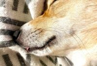 Your Monthly Takeaway