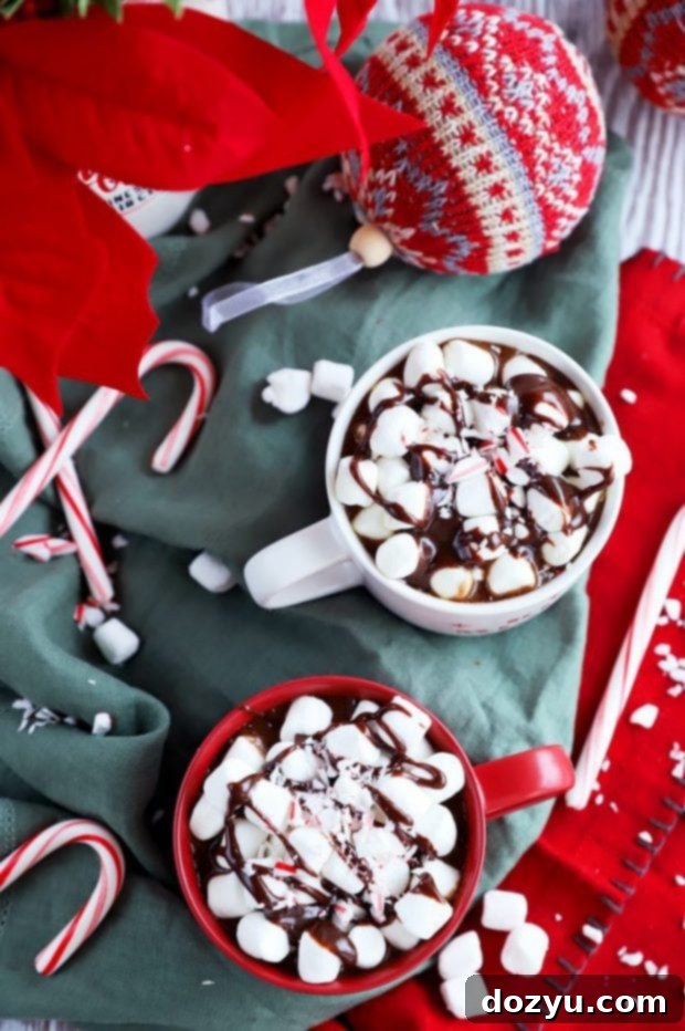 Overhead view of a crockpot filled with rich, creamy slow cooker hot chocolate, ready to be served into mugs.
