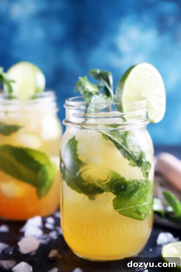 Midnight Mojito 5 Dirty Mojito cocktail ingredients