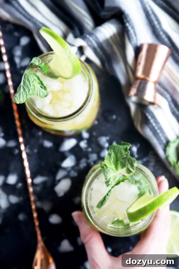 Midnight Mojito 7 Hand holding cocktail photo