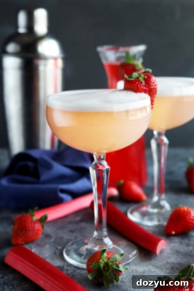 Freshly prepared Strawberry Rhubarb Gin Fizz cocktails garnished with fresh strawberries and rhubarb.