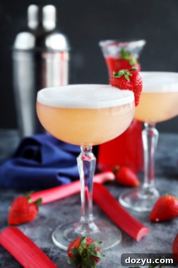 Cocktail shaker and ingredients alongside two Strawberry Rhubarb Gin Fizz cocktails, ready for mixing.