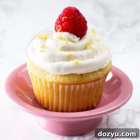 Lemon Raspberry-Filled Cupcakes with White Chocolate Buttercream Frosting | cakenknife.com