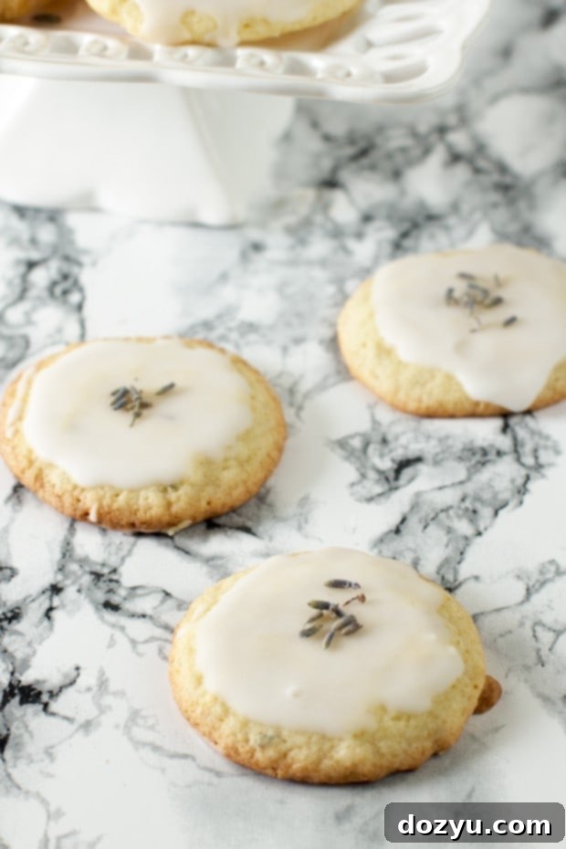 Grandma's Lavender Cookies | cakenknife.com