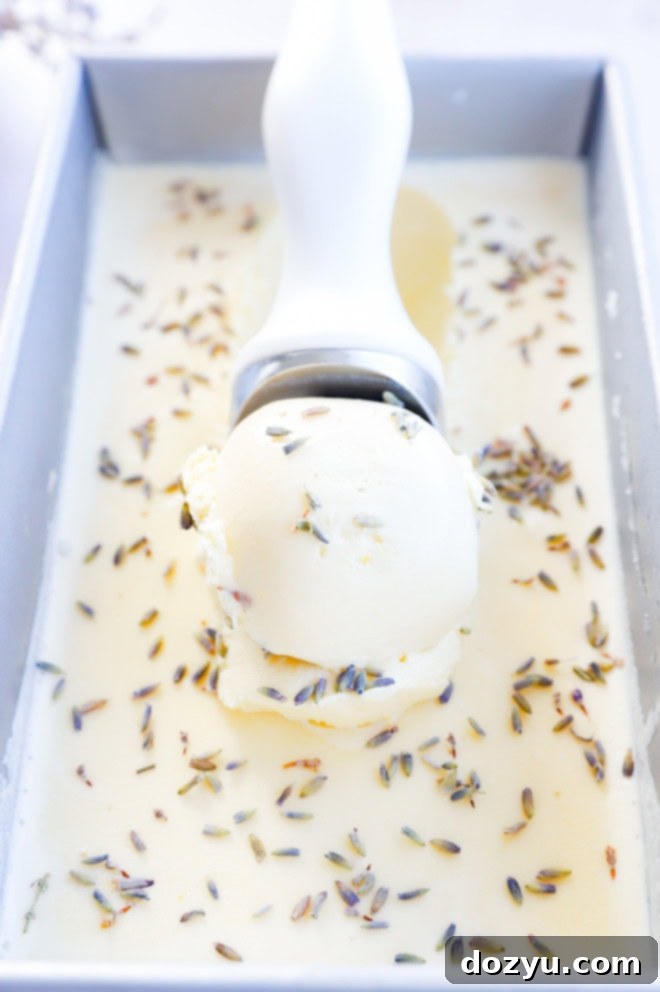 Scooping rich, purple-hued lavender honey ice cream from a loaf pan into a bowl