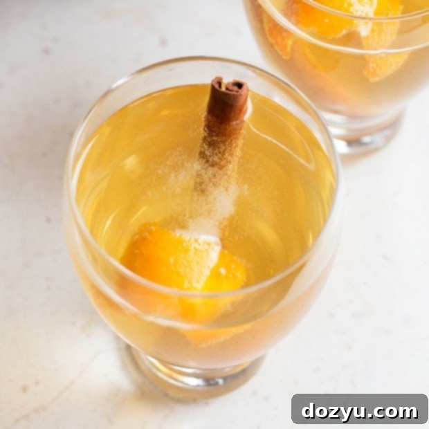 Apple Cinnamon Hard Cider Cocktail | cakenknife.com