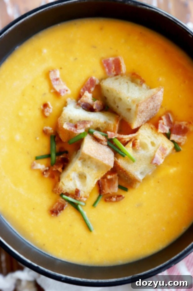 Overhead image of squash soup