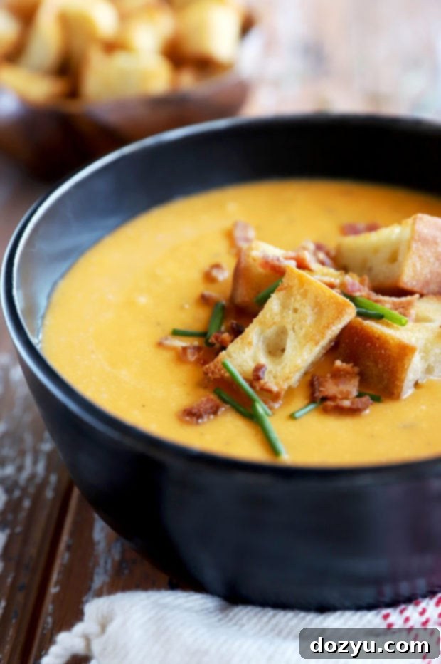 Roasted butternut squash soup bowl image