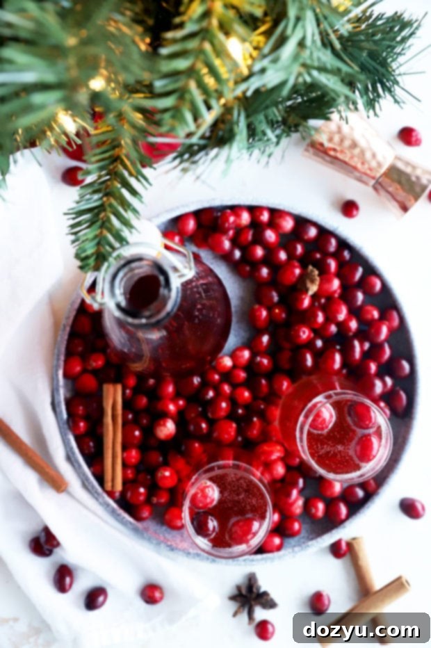 Overhead image of cranberry sparkler