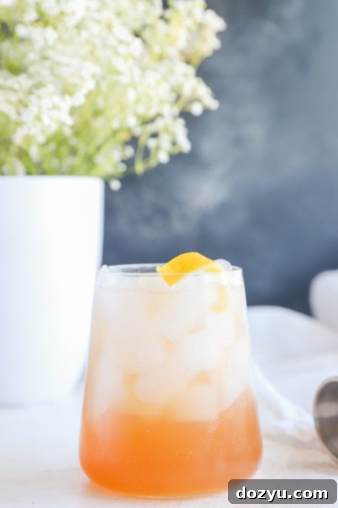 Gin sling cocktail in a glass image, beautifully garnished