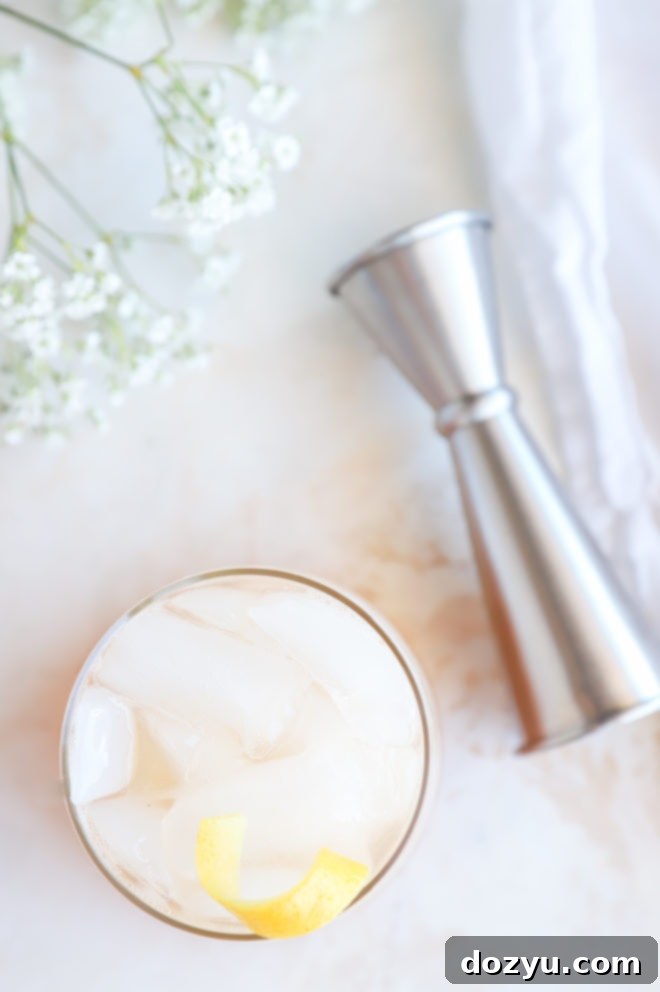 Overhead image of gin cocktail in glass with citrus garnish