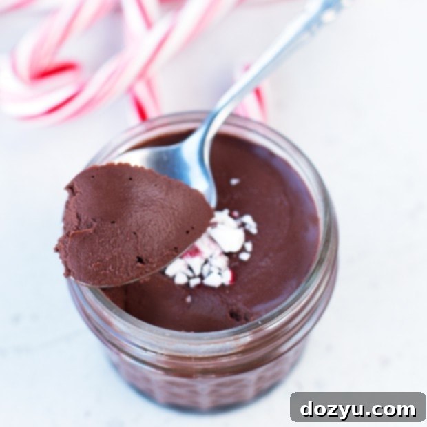3-Ingredient Dark Chocolate Peppermint Mousse Recipe | cakenknife.com