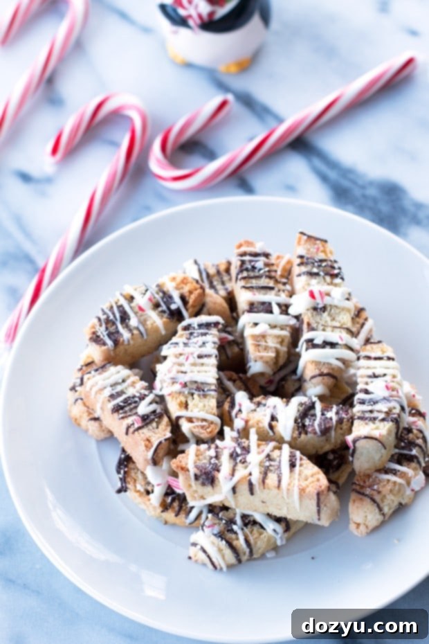 Refreshing Mint Chocolate Chip Biscotti 5 Graphic of Peppermint Chocolate Chip Biscotti recipe highlights