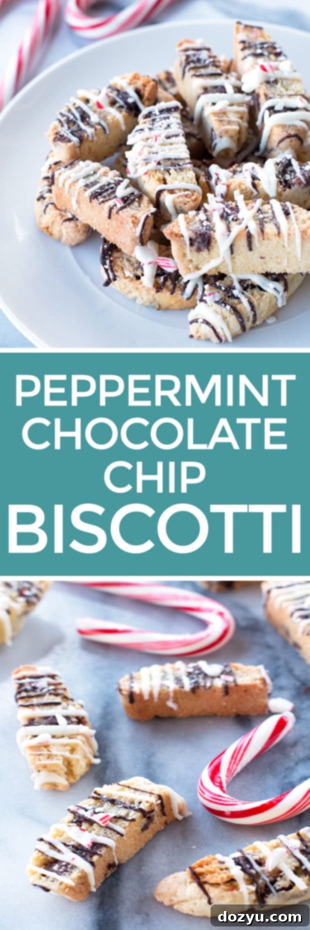 Refreshing Mint Chocolate Chip Biscotti 6 Pin this Peppermint Chocolate Chip Biscotti recipe for later